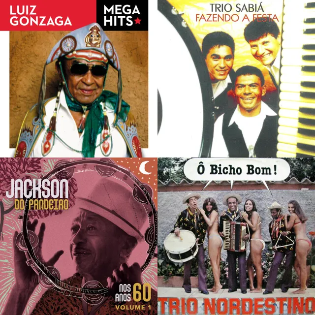 Forró Playlist